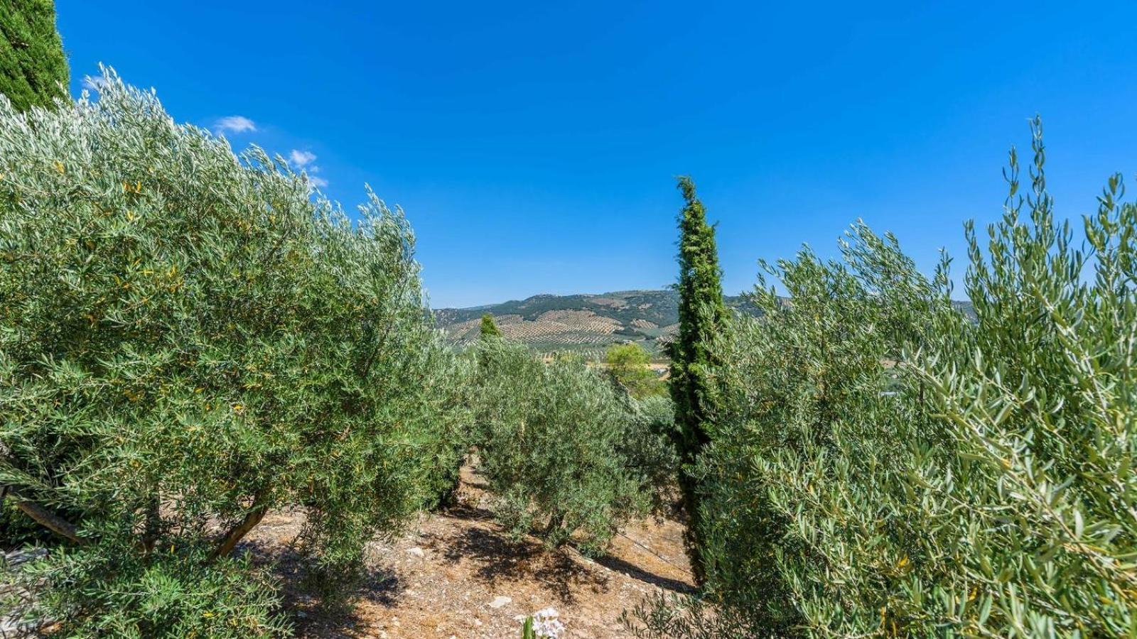 Cortijo Casablanca Priego De Cordoba By Ruralidays Villa Екстериор снимка